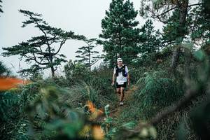 BIB: 
                            <button type="button" onclick="openModal(25260897)" class="btn btn-primary btn-sm float-right btn-popup" data-toggle="modal" data-target=".modal-high-quality">
                        <i class="fas fa-shopping-cart"></i> Add to Cart
                    </button>
                                            <button type="button" onclick="isThisMe(25260897, true)" class="btn btn-success btn-sm float-right btn-popup btn-isme hidden" data-toggle="tooltip" data-placement="bottom" title="นี่คือรูปของคุณใช่ไหม คลิกที่นี่เพื่อเอาเข้าอัลบั้ม">
                        <i class="fas fa-plus"></i> Add to album
                    </button>
                    <button type="button" onclick="isThisMe(25260897, false)" class="btn btn-warning btn-sm float-right btn-popup btn-isnotme hidden">
                        <i class="fas fa-ban"></i> Remove from album
                    </button>